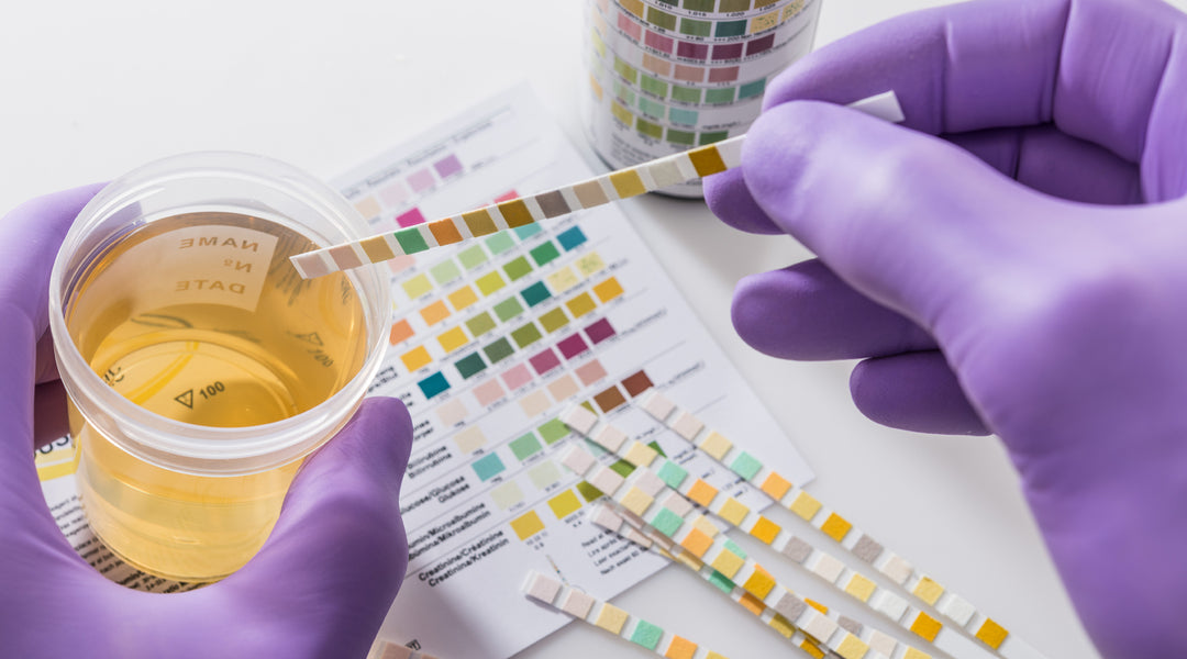 Delta-9 THC Drug Test