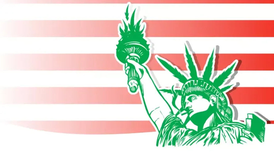 New York Makes Cannabis More Dangerous