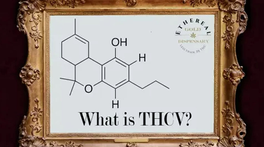 What is THCV?