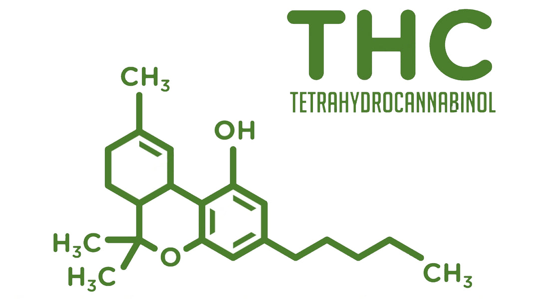 THC Molecule