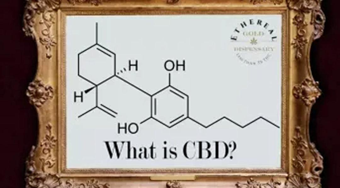 What is CBD?
