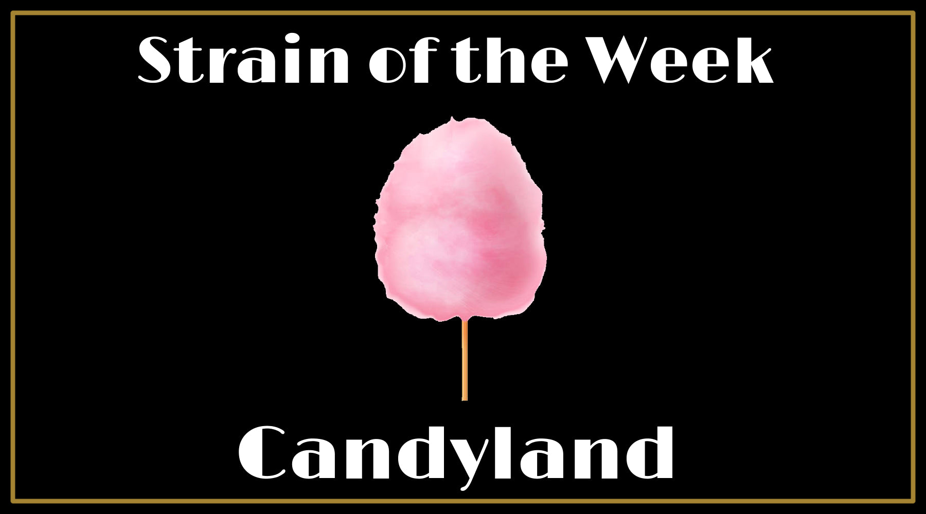 Strain of the Week: Candyland