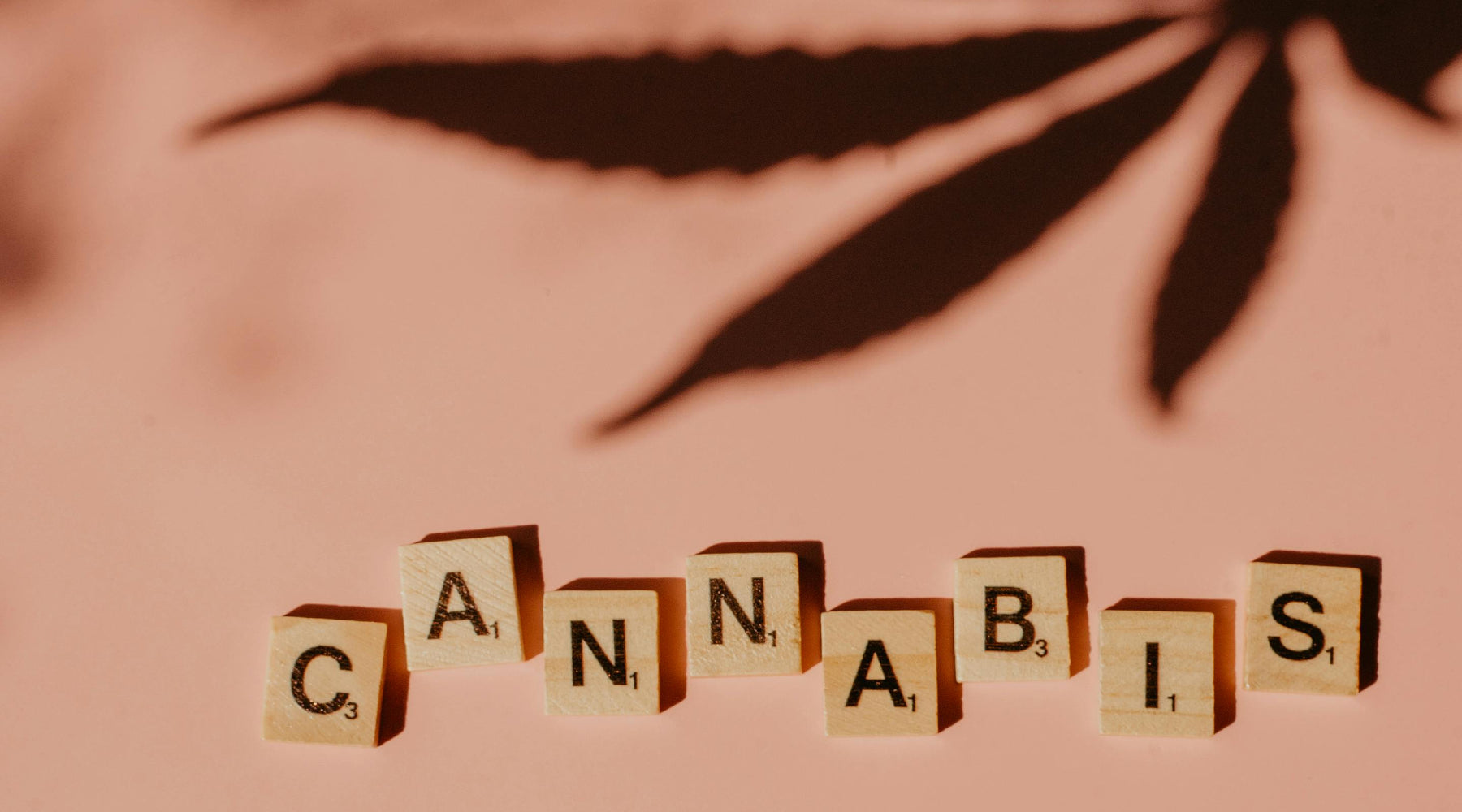 What is Cannabis? More Than Just One Plant