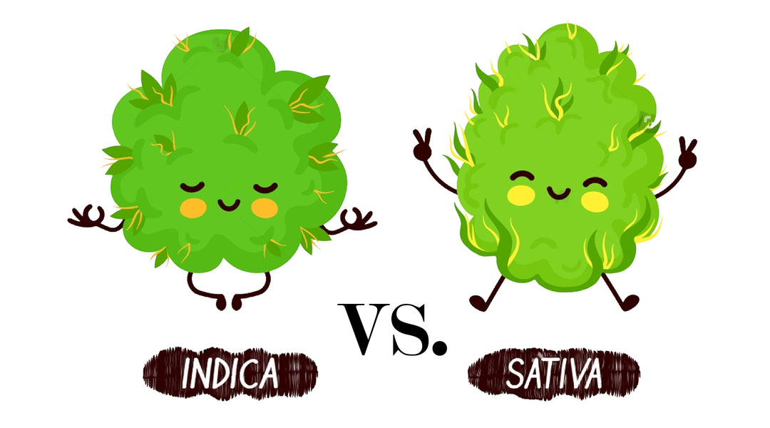 Indica vs. Sativa