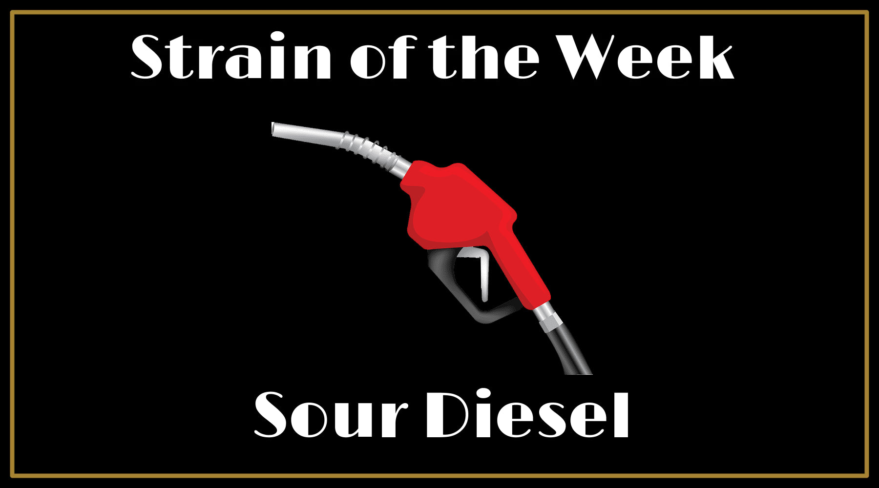 Strain of the Week: Sour Diesel