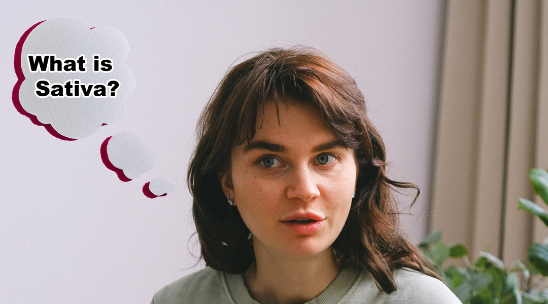 What is Sativa? Understanding Its Uses, Strains, and Benefits