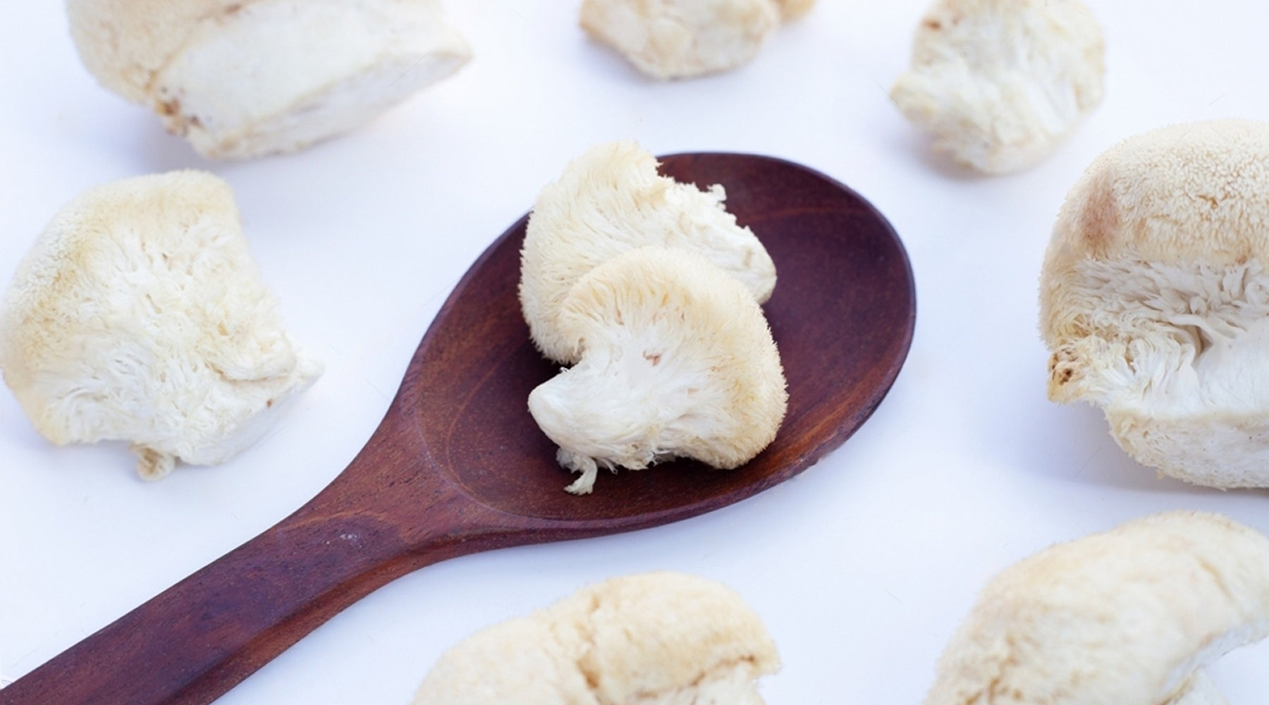 How to Make Lion's Mane Tincture: A Step-by-Step Guide