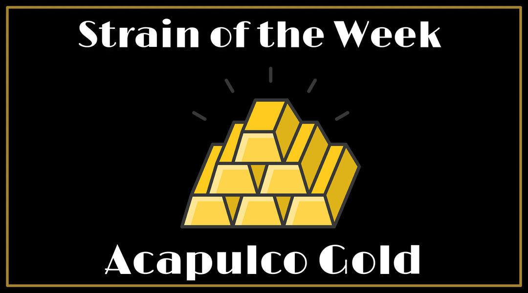 Strain of the Week: Acapulco Gold