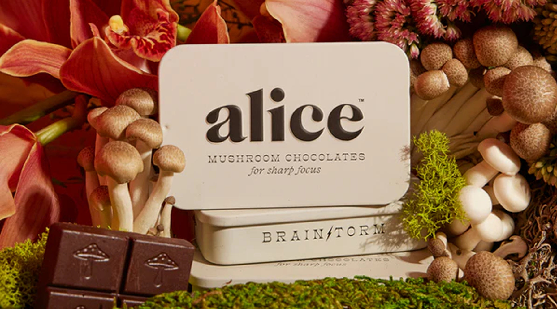 Alice Mushroom Brainstorm Review | Chocolate With a Boost