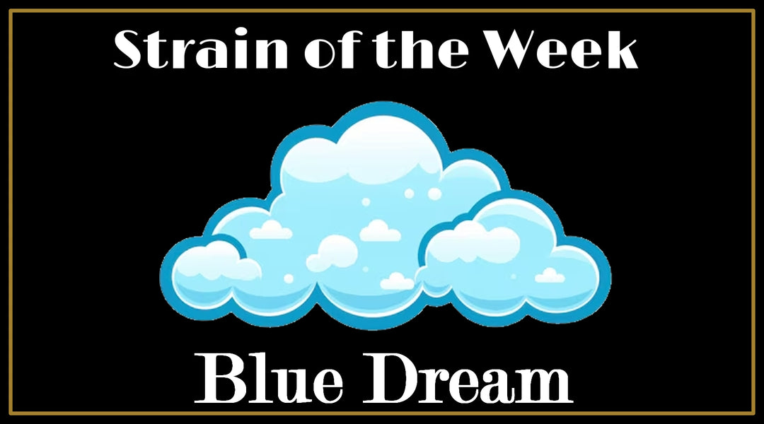 Strain of the Week: Blue Dream