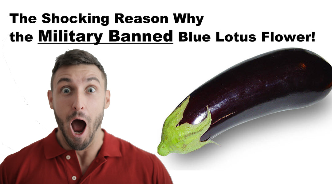 Why the Military BANNED Blue Lotus Flower