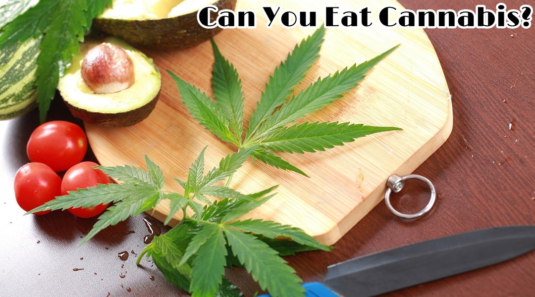 Can You Eat Cannabis?