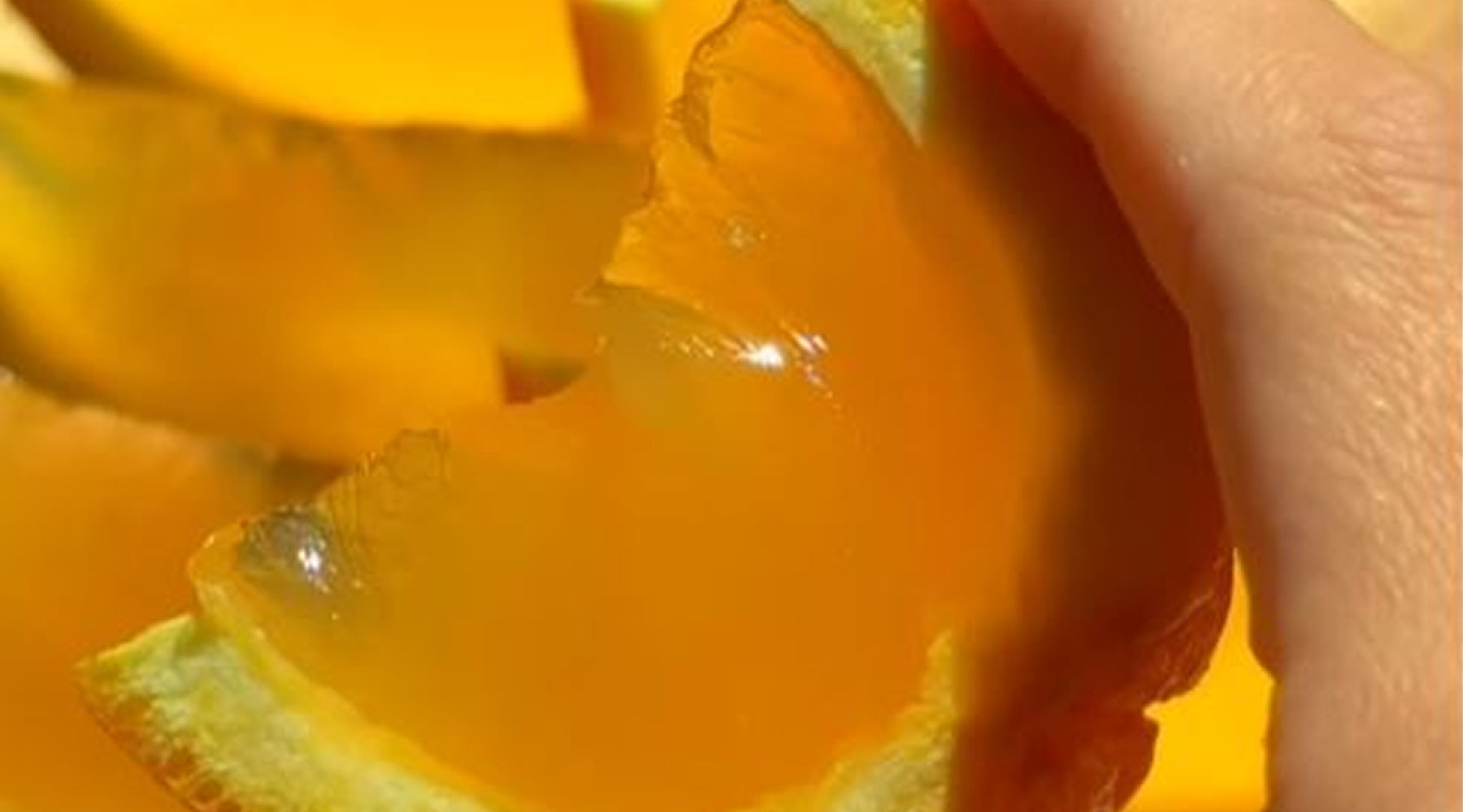 Nowadays Citrus Sunset Shots Recipe