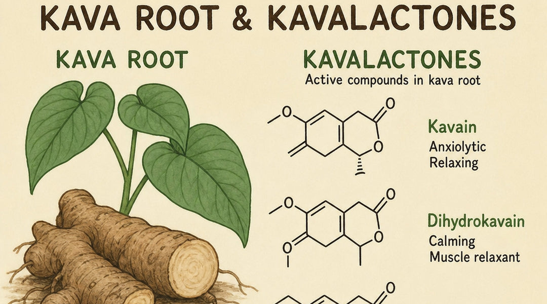 Understanding Methysticin: Kava's Key Compound