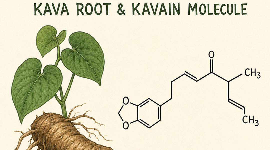 Kavain Explained: Uses, Effects & Safety Guide