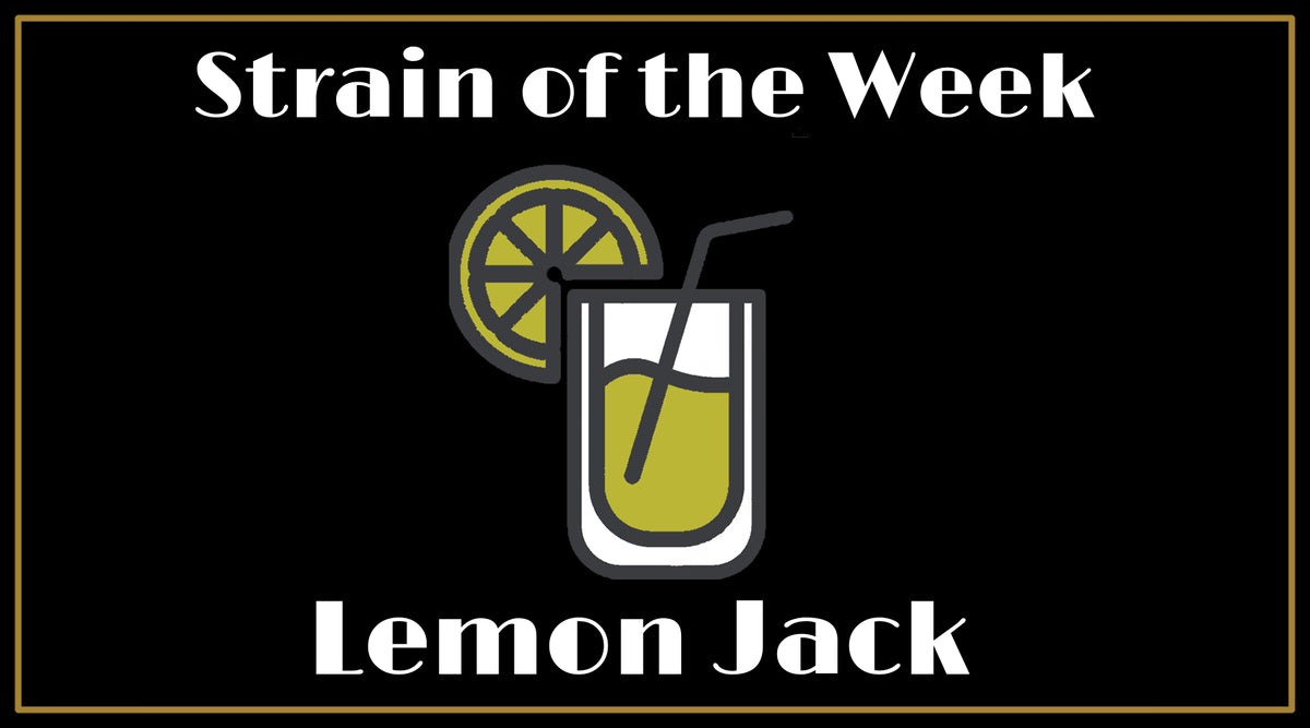 Strain of the Week Lemon Jack Ethereal Gold Dispensary