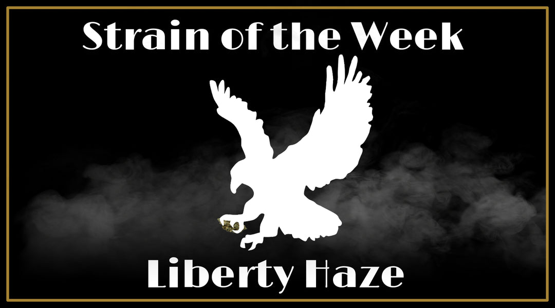 Strain of the Week: Liberty Haze