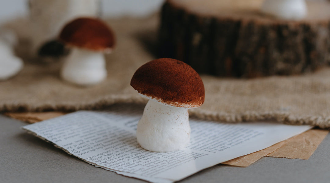Everything You Need to Know About Microdosing Mushrooms