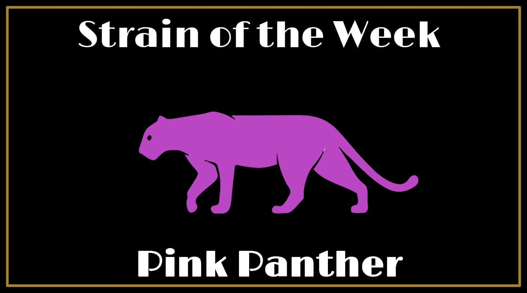 Strain of the Week: Pink Panther