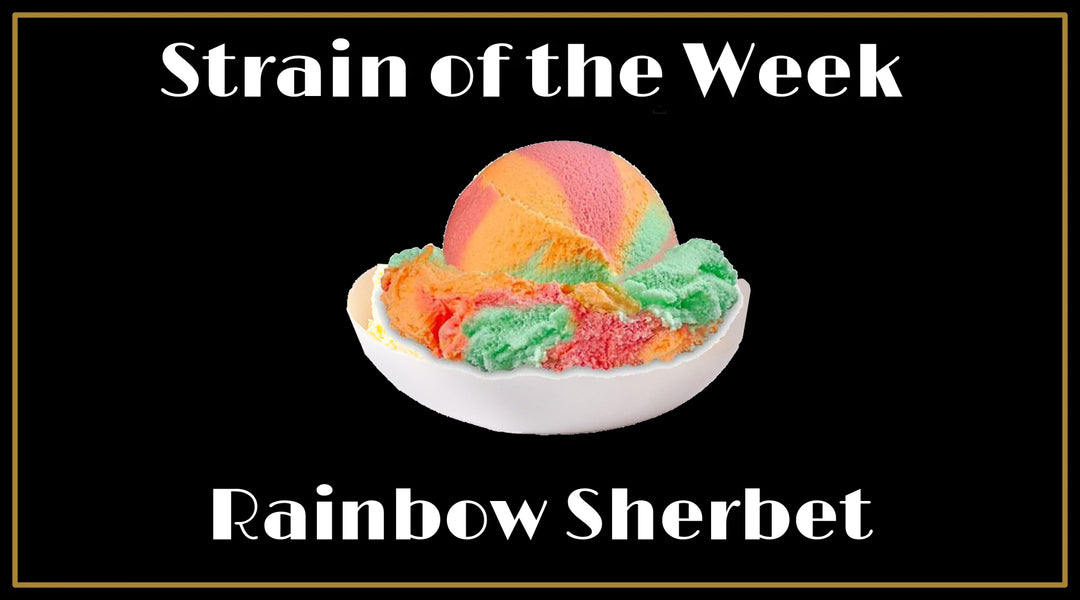 Strain of the Week: Rainbow Sherbet