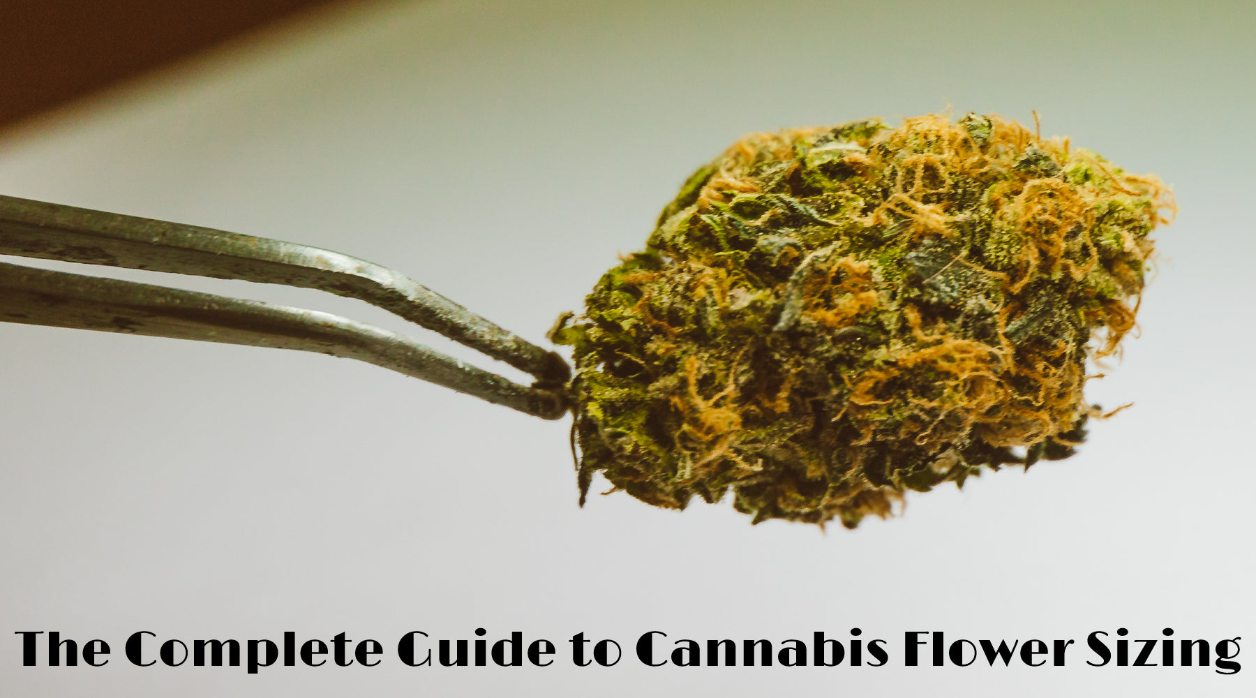 Guide to Cannabis Flower Sizing
