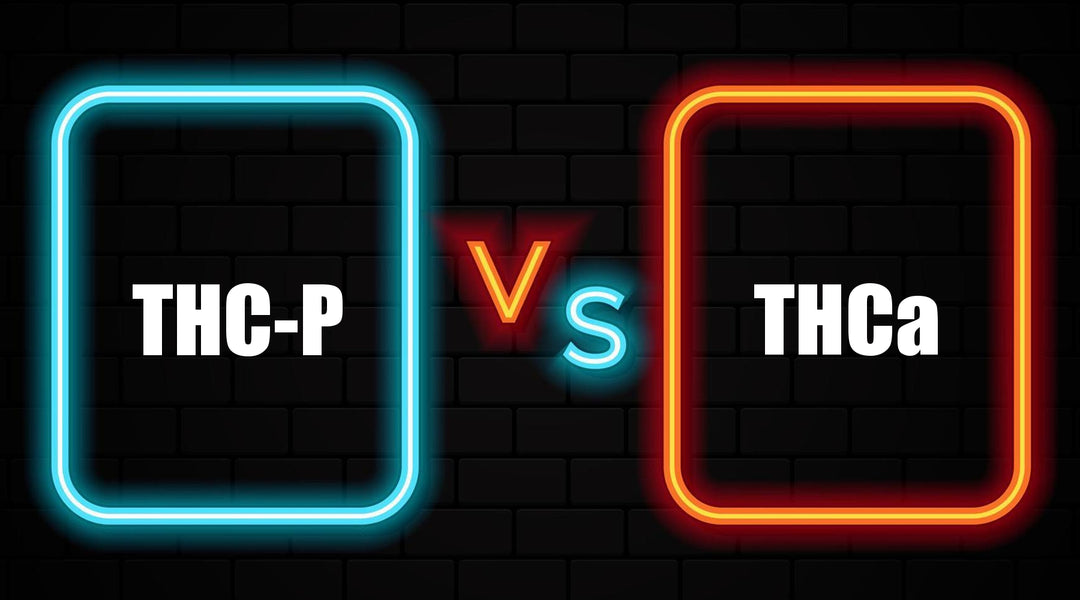 THCa vs. THC-P