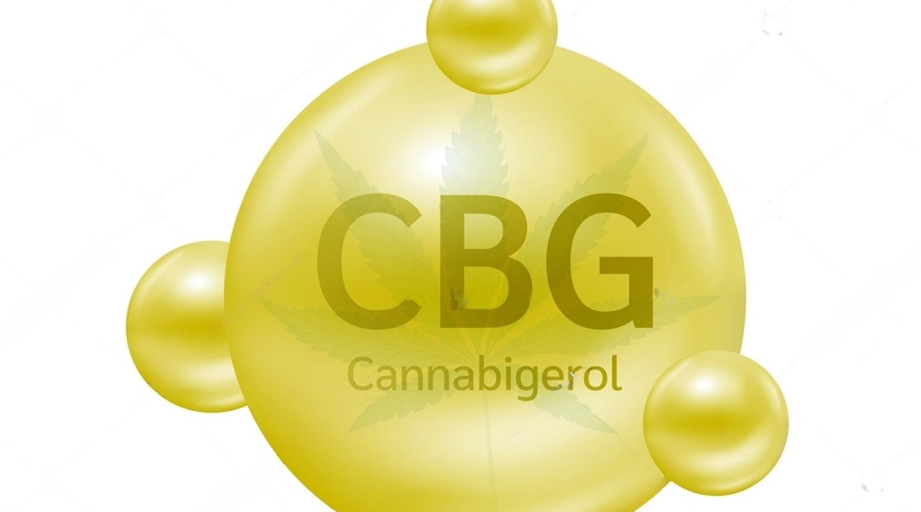 What is CBG? Understanding the Cannabinoid and Its Effects