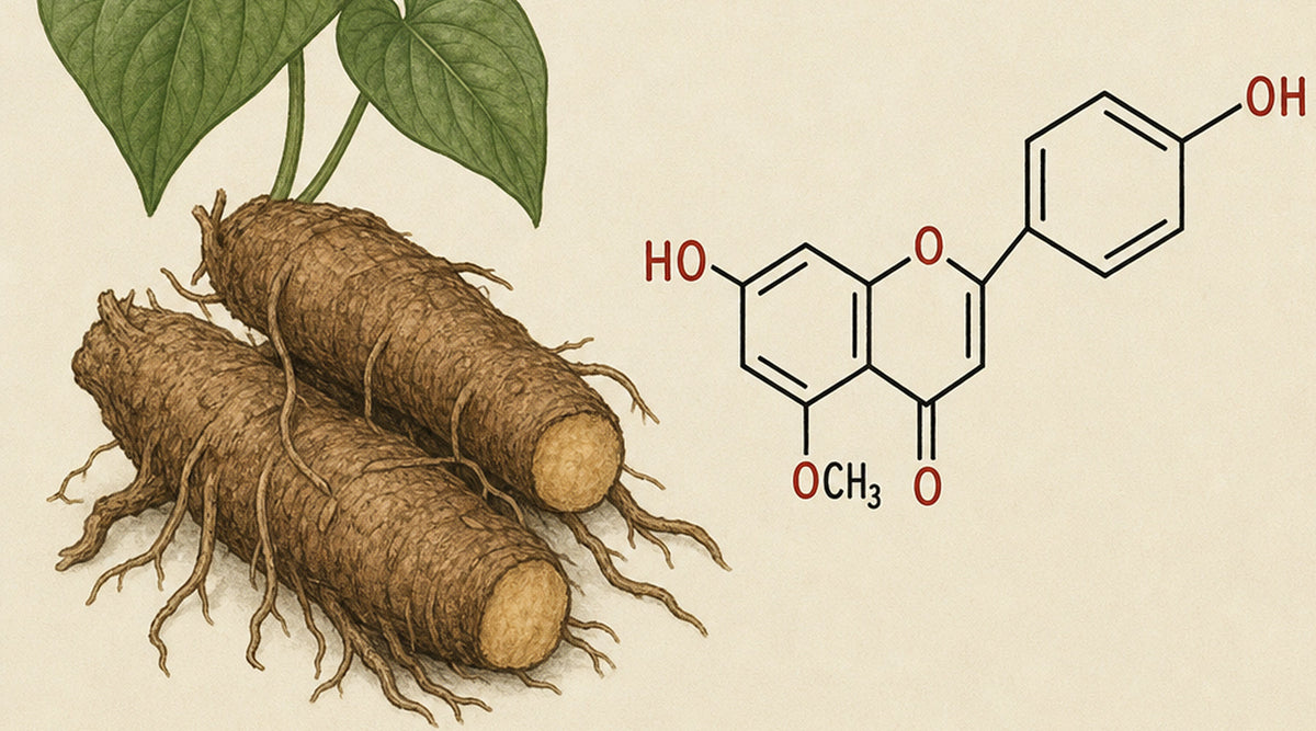 Understanding Yangonin: Effects and Safety of Kava Compound